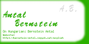 antal bernstein business card